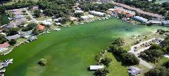 Photo of Hunter Spring in Citrus County, which clearly shows how excessive nutrient inputs from surrounding land uses have resulted in a “greening” of the once blue waters.