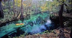 Ichetucknee Springs Run in its wonderful glory showing a rafter gently moving downstream on the blue waters.